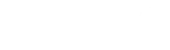 Pars Bisiklet